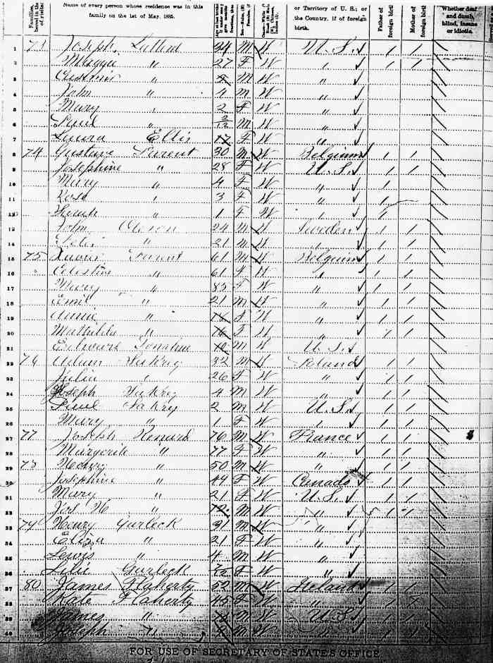 A page from the 1885 Minnesota State Census, St. George Township in Benton County.