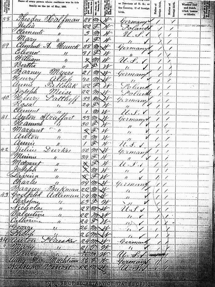 A page from the 1885 Minnesota State Census, St. George Township in Benton County.