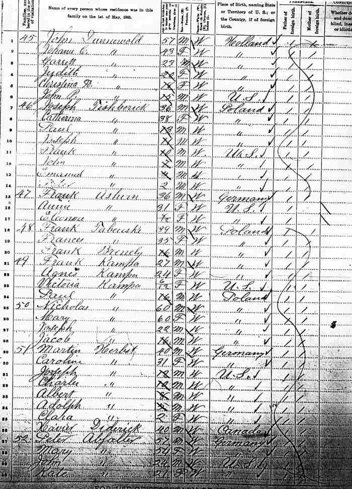 A page from the 1885 Minnesota State Census, St. George Township in Benton County.