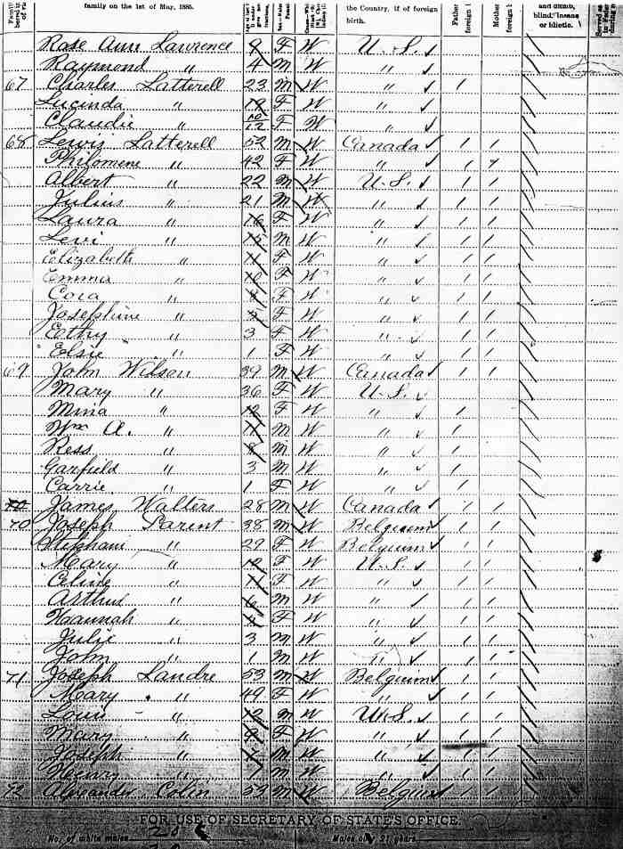 A page from the 1885 Minnesota State Census, St. George Township in Benton County.