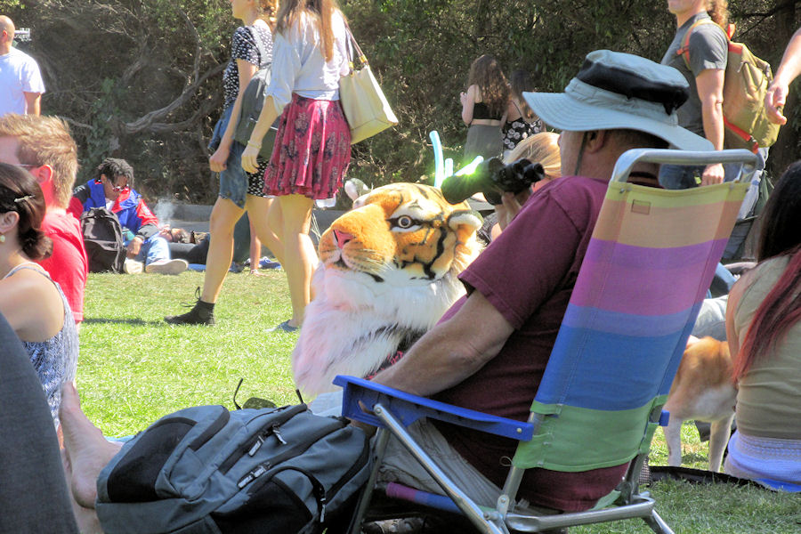 Weird tiger backpack makes you do a double-take