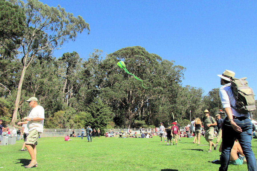 Kite flies into middle of concert.