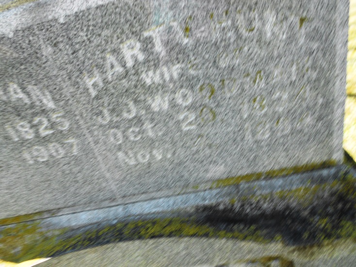 Closeup of Harty Woodman gravestone