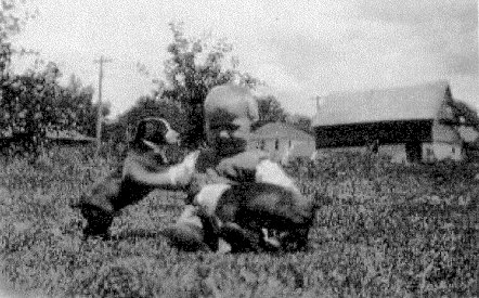 Baby Gene and puppies.