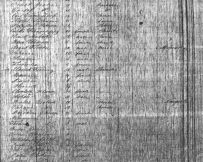 Heinrich and Maryanna Voerding Family Immigration on ship 