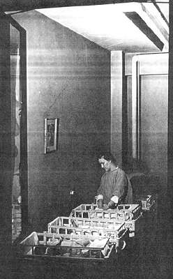 Infants at St. Vincent's Infant Asylum, Chicago IL.