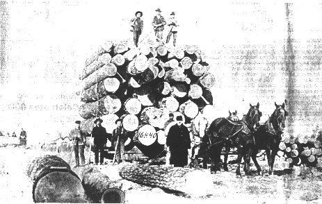 Foley Bros. Logging Operation, 1885.