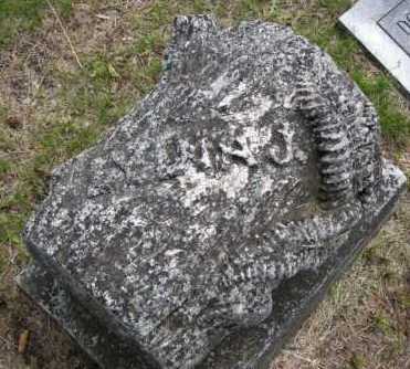 Gravestone of Lydia J. Spencer Francis Hunt