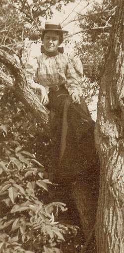 Closeup of Mayme Qvale (née Nockels) up a tree, approximately 1900.