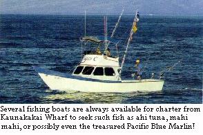 Fishing boats available for charter!