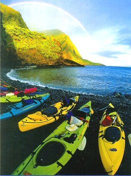 Kayaks available for rental.