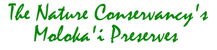 The Nature Conservancy's Moloka'i Preserves.