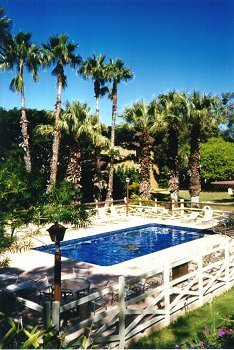 Paniolo Hale Swimming Pool.