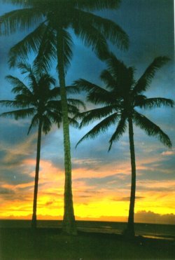 A fitting end to another fantastic Molokai day!