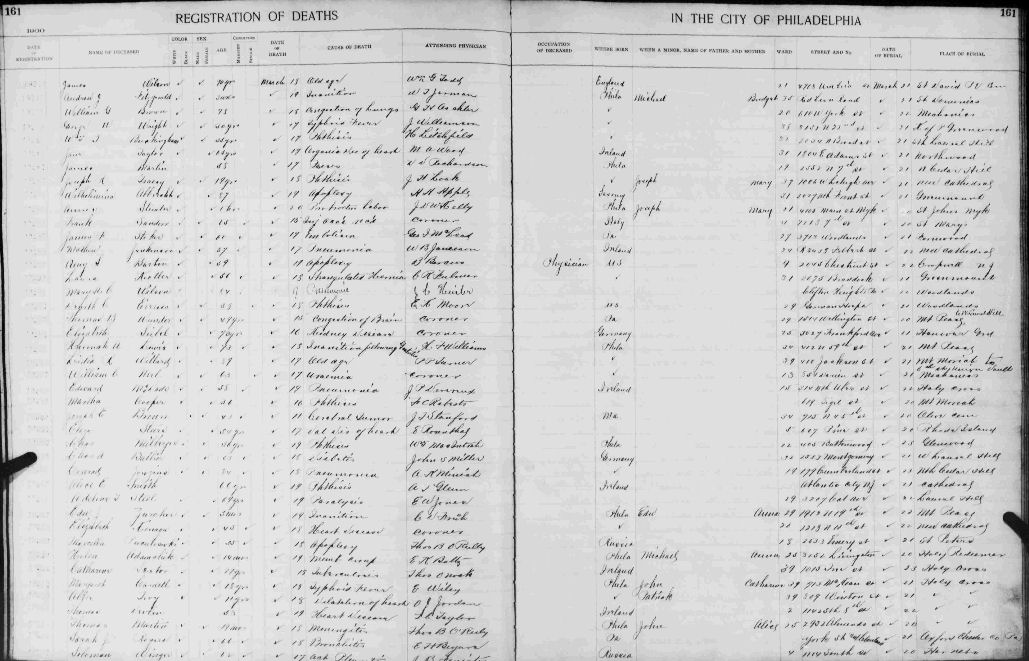 Annie Stimmler's death listing in Philadelphia Death Certificates 1803-1915 Book