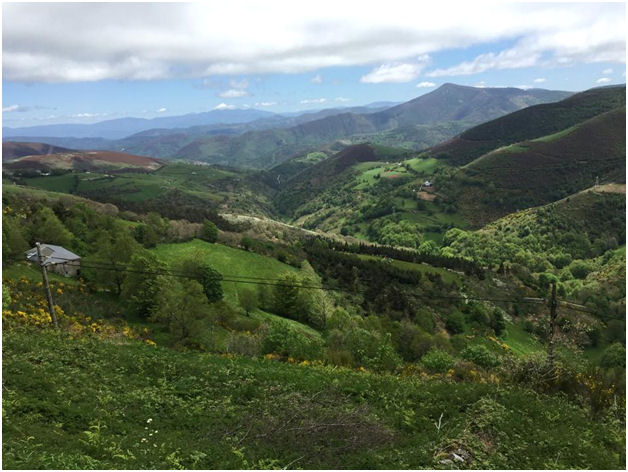 Typical scenery along the way