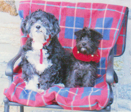 Sherlock and baby sister Watson, Christmas 2010