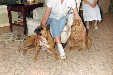 Grandma Alice and Great-grandma Anna with Honeybuckets and Taffy.